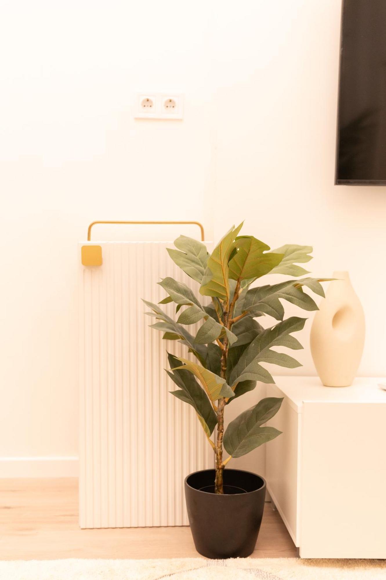 Superior N' Cozy Mozsar 6 In The Heart Of Apartamento